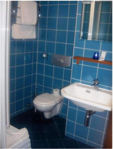 Panzio Sissi Hotel Godollo Bagian luar foto
